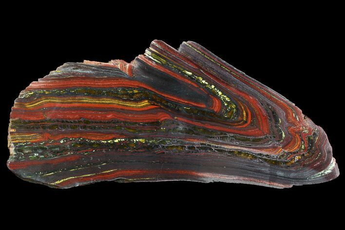Polished Tiger Iron Stromatolite - ( Billion Years) #92950